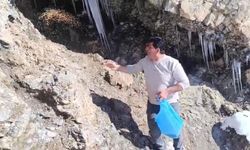 Şırnaklı gençlerden örnek davranış