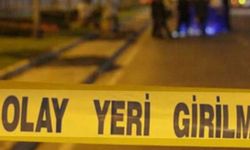 Şırnak'ta araç şarampole devrildi:2 kişi öldü, 6 kişi yaralandı