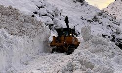 Şırnak'ta çığ nedeniyle kapanan yol ulaşıma açıldı