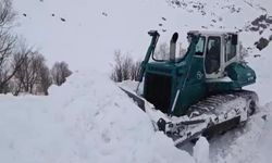 Şırnak'ta kar kalınlığı 2 metreyi aştı