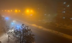 Diyarbakır’da etkili olan sis şaşırttı