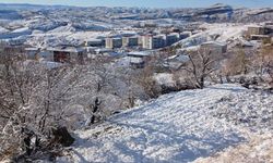 Diyarbakır'ın 5 ilçesinde taşımalı eğitime 1 gün ara verildi