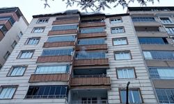 Kafasına buz düşen kadın yaşamını yitirdi