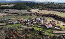 Türkiye'de toplam köy sayısı açıklandı