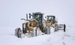 Van’da 363 yerleşim yerinin yolu kapandı