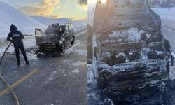 Van'da seyir halindeki kamyonet yandı