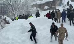 Van’da çığ düştü, bir kadın altında kaldı