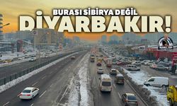 Burası Sibirya Değil, Diyarbakır!
