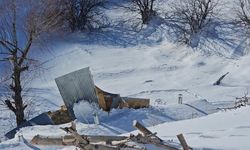 Yüksekova'da çığ yaraları sarılıyor