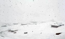 Şırnak, Uludere ve Beytüşşebap'ta okullar tatil