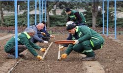 Diyarbakır Büyükşehir Belediyesi, kendi üretiyor