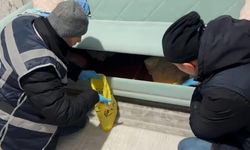 Bitlis merkezli yasa dışı bahis operasyonu: 24 tutuklama