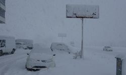 Bitlis'te 304 köyün bağlantısı koptu