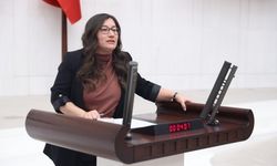 DEM Parti Milletvekili: 16 yaşındaki çocuk cezaevinde çıplak arandı