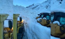 Şırnak’ta çığ düştü: 4 köyün bağlantısı kesildi