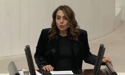 DEM Parti vekili Kaya, petrol kulelerinde çalışan işçileri Meclis’e taşıdı