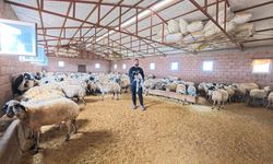 Diyarbakır, “DERİM” Projesinde pilot iller arasında