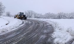 Diyarbakır Kulp’ta kapanan yollar açılıyor