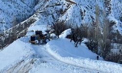 Diyarbakır ve 3 il için çığ uyarısı