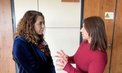 Diyarbakır Vekili Kaya: Yeni anayasa gündeme gelecek