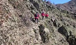 Diyarbakır'da 200 kişilik ekip kayıp adamı arıyor