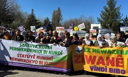 Diyarbakır’da anadil yürüyüşü yapıldı