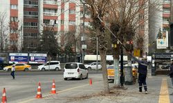 Diyarbakır’da bahar hazırlığı, tehlike saçan söküldü