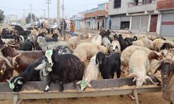 Diyarbakır’da Ramazan öncesi satışlarda yoğunluk