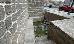 Diyarbakır’da türkülere konu olmuştu; çöplüğe döndü