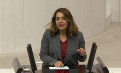 Diyarbakır’daki Mervani Camii, Meclis gündeminde