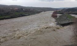 Diyarbakır’ın Kulp Çayı taştı