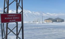 Yüksekova'da kuduz vakası, panik yarattı!