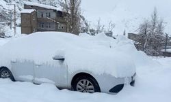 Hakkari’de 210 köy ve mezranın yolu kapandı