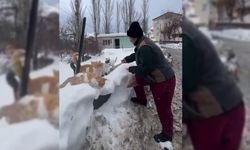 Her yıl 1400 kilometreden Diyarbakır'a sokak hayvanları için geliyor