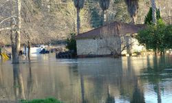 Irmak taştı, işletmeler su altında kaldı