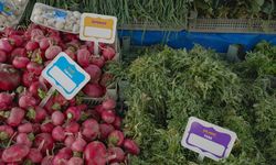 Diyarbakır’da pazarlarda sebze ve meyvelere Kürtçe etiket