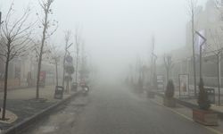 Mardin'de yoğun sis