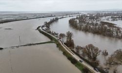 Meriç Nehri taştı, tarım arazileri sular altında