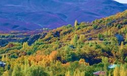 Resmi gazetede yayınlandı: 21 ilde orman sınırları dışına çıkarılan alanlar