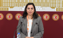 Kürtçe yazma eserlerde 'ayrımcılık' iddiaları Meclis gündeminde