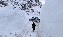 Kar kaplanlarının 5 aileyi kurtarma mücadelesi