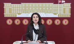 Muş Varto’da mera alarmı