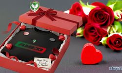 Amedspor: Ömür boyu sürecek bu sevda