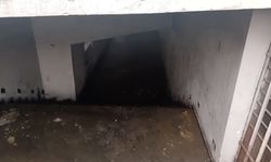 Yaptığımız haber ses getirdi, belediye anında temizledi