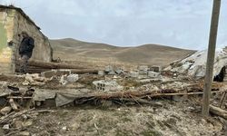 Ahırın çökmesi sonucu 30 hayvan telef oldu