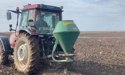 Arpa ekimine başlandı