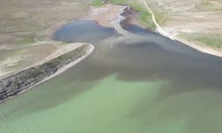 Atatürk Barajı gölü siyaha büründü