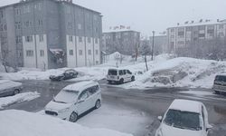 Bitlis’te kar yağışı