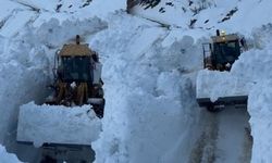 Bitlis’te köy yoluna çığ düştü