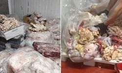O ilde 50 ton bozuk tavuk eti ele geçirildi
